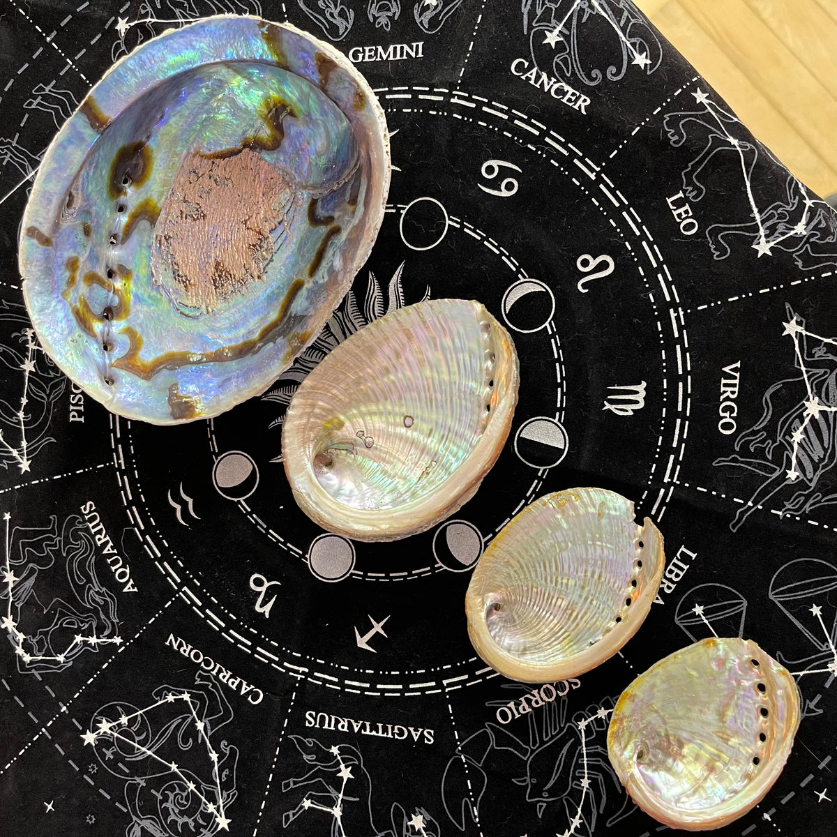Buy Online Abalone Shells | Astrodiac Mystic Shop